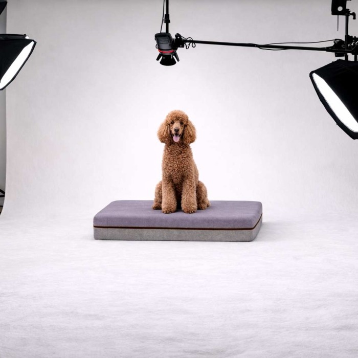 Cuccia per cani e gatti in schiuma di waterfoam anallergico e tessuto sfoderable. Cuccia su misura