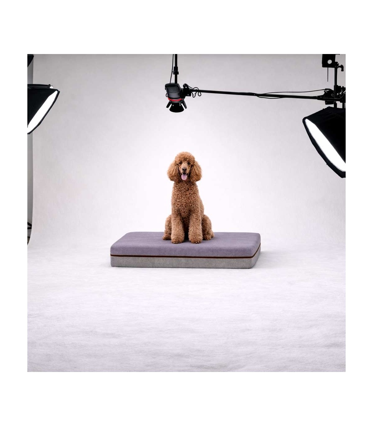 Cuccia per cani e gatti in schiuma di waterfoam anallergico e tessuto sfoderable. Cuccia su misura