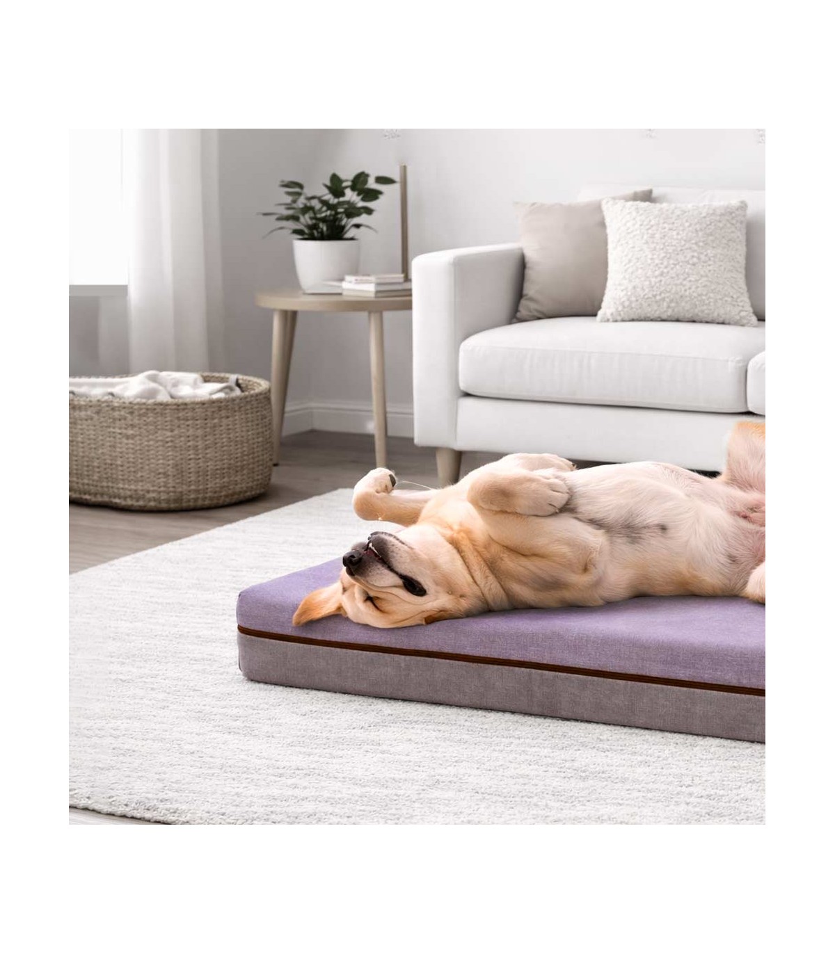 Materassino per animali di grande taglia